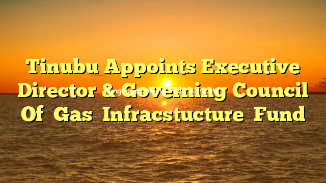 Tinubu Appoints Executive Director & Governing Council Of  Gas  Infracstucture  Fund
